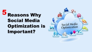 5 Reasons Why Social Media Optimization is Important