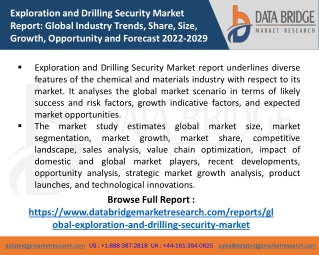 Exploration and Drilling Security Market