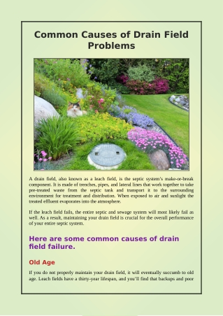 Signs of Septic System Failure