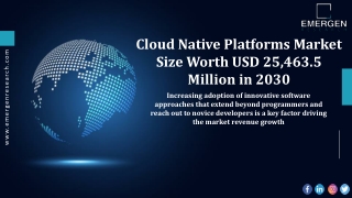 Cloud Native Platforms Market Top Companies and Growth Forecasts Research 2030