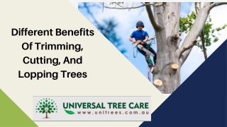 Different benefits of trimming, cutting, and lopping trees