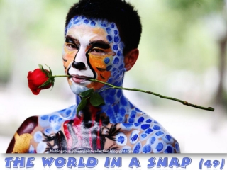 The World in a SNAP (49)