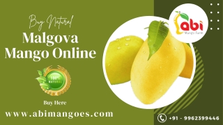 Buy Natural Malgova Mango in Namakkal