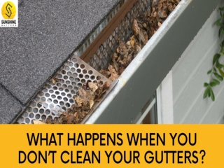 What happens when you don't clean your gutters?