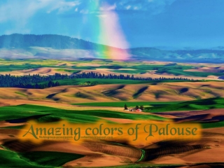 Amazing Colorful Landscapes