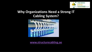 Why Organizations Need a Strong IT Cabling System