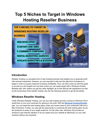 Top 5 Niches to Target in Windows Hosting Reseller Business