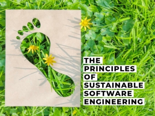 The Principles of Sustainable Software Engineering