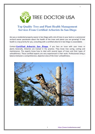 Our Arborists Will Make Your Trees Tree-mendously green!