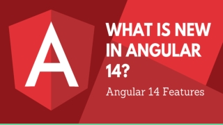 What’s New in Angular 14?