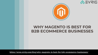 Why Magento Is Best For B2b Ecommerce Businesses