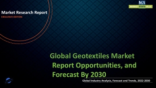 Geotextiles Market Research Analysis with Trends and Opportunities To 2030