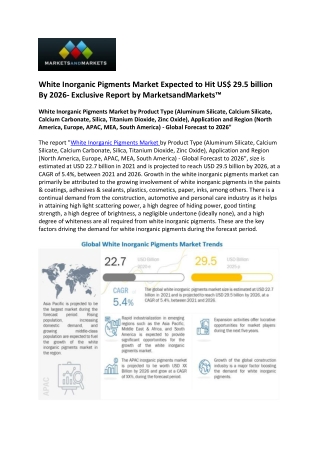 White Inorganic Pigments Market will Reach $29.5 billion by 2026