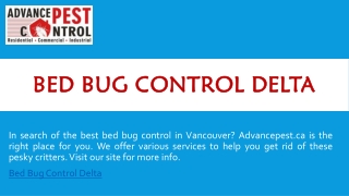 Bed Bug Control Delta | Advancepest.ca