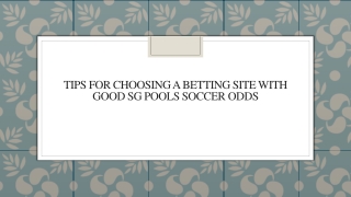 Tips For Choosing A Betting Site With Good SG Pools Soccer odds