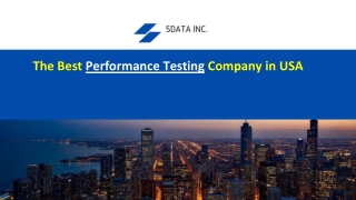 The Best Performance Testing Company|5DataInc