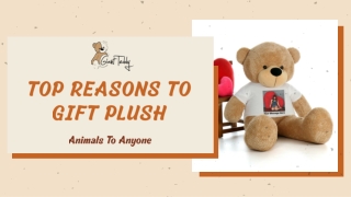 Top Reasons To Gift Plush Animals To Anyone