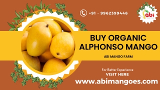 Buy Organic Alphoso Mango in Namakkal