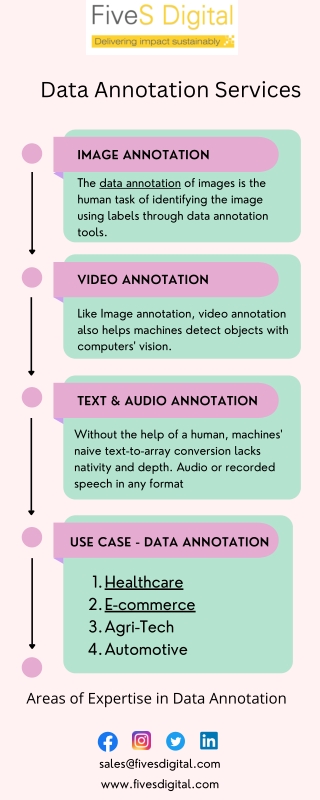 Data Annotation Services & Solutions - FiveS Digital