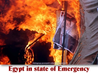 2013 Egypt in state of Emergency