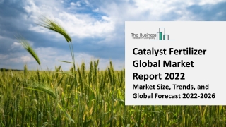 Catalyst Fertilizer Market 2022: Size, Share, Segments, And Forecast 2031