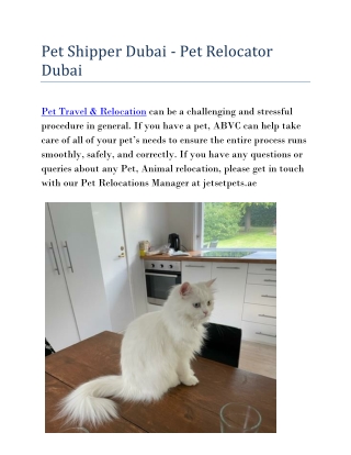 Pet Shipper Dubai - Pet Relocator Dubai
