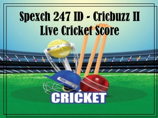 Spexch247.com