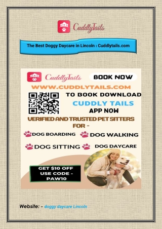 The Best Doggy Daycare in Lincoln । Cuddlytails.com