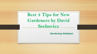 Best 3 Tips for New Gardeners by David Sechovicz