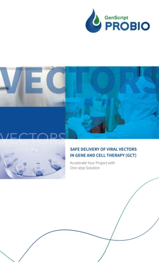 Safe Delivery of Lentiviral Vectors in Gene and Cell Therapy