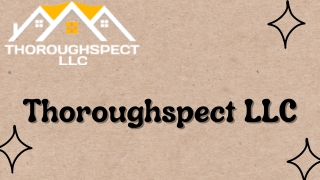 Flying Squirrels In CT -  Thoroughspect LLC