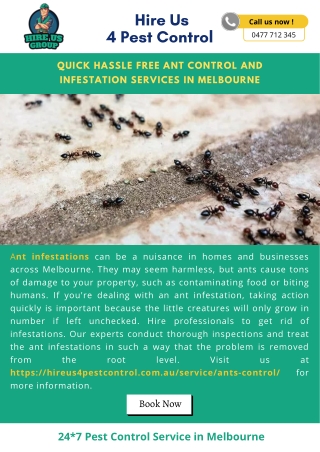 Quick Hassle Free Ant Control and Infestation Services in Melbourne