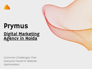 Common Challenges That Everyone Faced in Website Optimization