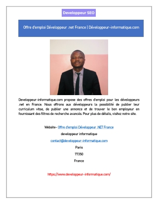 Offre d'emploi Développeur .NET France 11
