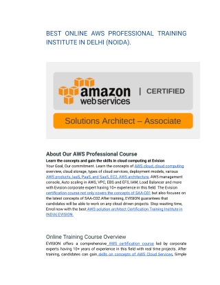BEST ONLINE AWS PROFESSIONAL TRAINING INSTITUTE IN DELHI (NOIDA).