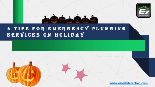 4 Tips For Emergency Plumbing Services on Holidays