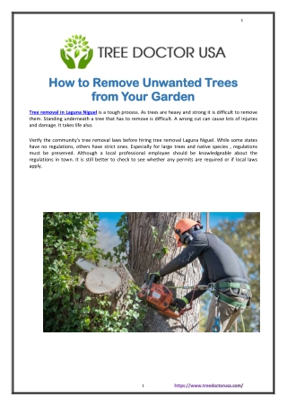 The Most Trusted Tree Doctors in the Laguna Niguel Town