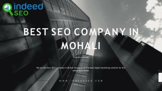 Top SEO Company In Mohali | IndeedSEO