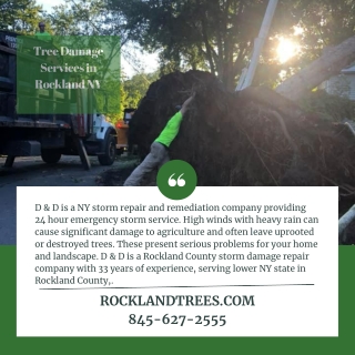 Tree Damage Services in Rockland NY