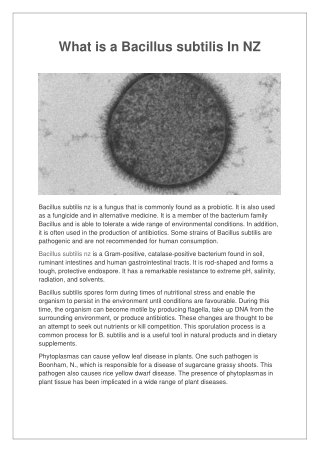 What is a Bacillus subtilis In NZ