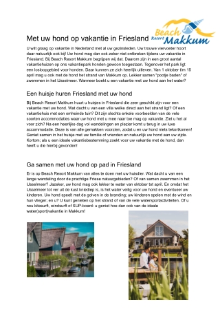 Vakantie met hond aan water