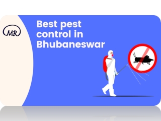 Live Free From Pests With The Best Pest Control In Bhubaneswar