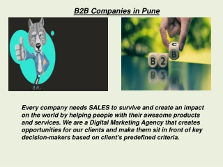 B2B Companies in Pune