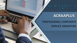 PROFESSIONAL CORPORATE SERVICE SINGAPORE