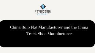 China Bulb Flat Manufacturer and the China Track Shoe Manufacturer