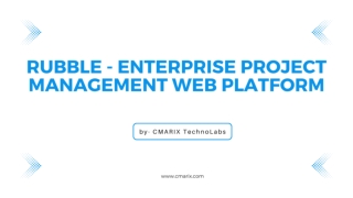 Rubble - Enterprise Project Management Web Platform - CMARIX