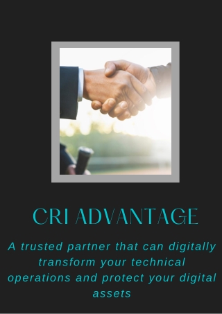 Cyber Security Risk Assessment Boise – CRI Advantage