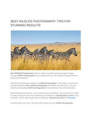 BEST WILDLIFE PHOTOGRAPHY_ TIPS FOR STUNNING RESULTS