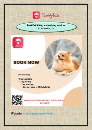 Best Pet Sitting and walking services in Nashville, TN