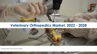 Veterinary Orthopedics Market Size, Share, Analysis 2022 -2028